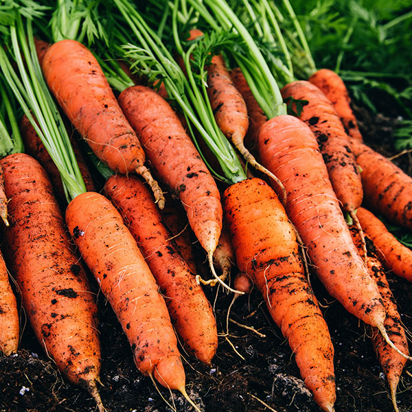 Kagome Carrot Products