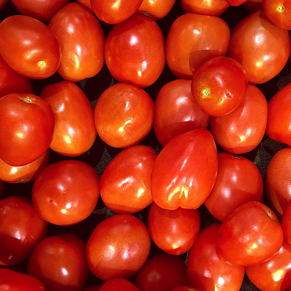 Kagome Roma Tomato Products